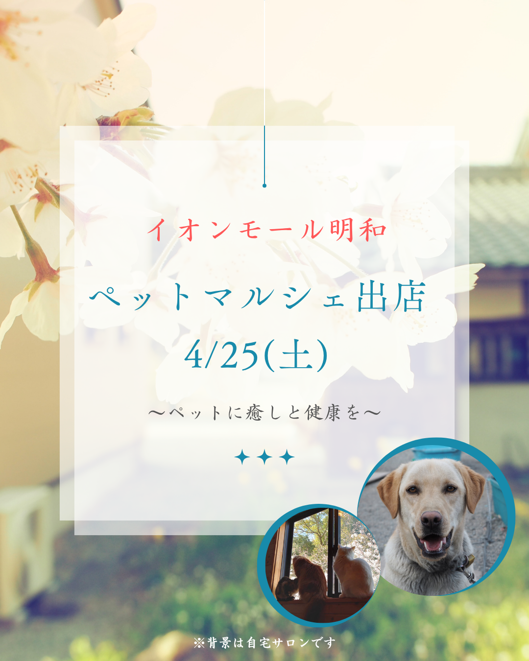 📣【イオンモール明和】ペットマルシェに出店します